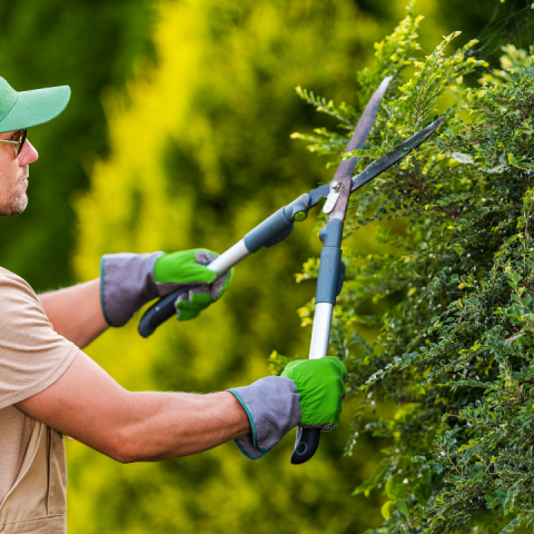 Gartenpflege & Aussenbetreuung